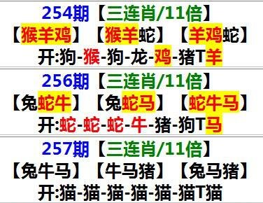 新澳门精准免费资料查看,资深解答解释落实_特别款72.21127.13.