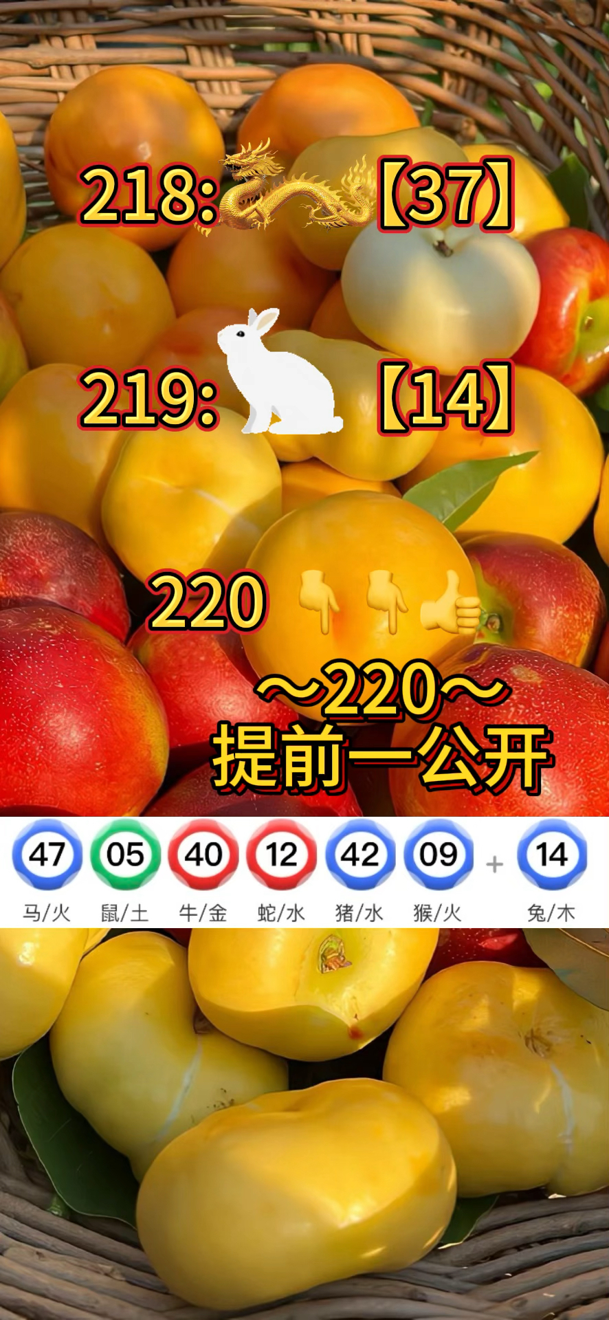 老澳门资料大全正版资料2023年免费,豪华精英版79.26.45-江GO121,127.13