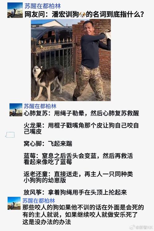 澳门香港 第12页